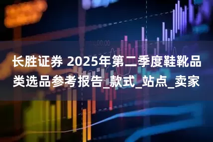 长胜证券 2025年第二季度鞋靴品类选品参考报告_款式_站点_卖家