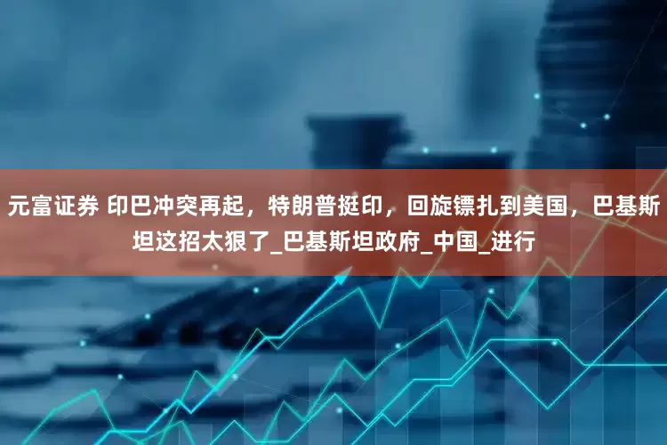 元富证券 印巴冲突再起，特朗普挺印，回旋镖扎到美国，巴基斯坦这招太狠了_巴基斯坦政府_中国_进行
