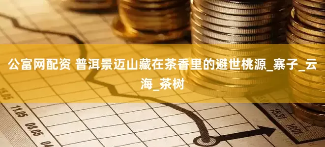公富网配资 普洱景迈山藏在茶香里的避世桃源_寨子_云海_茶树