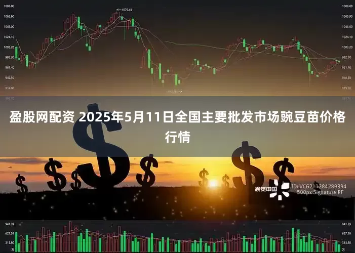 盈股网配资 2025年5月11日全国主要批发市场豌豆苗价格行情